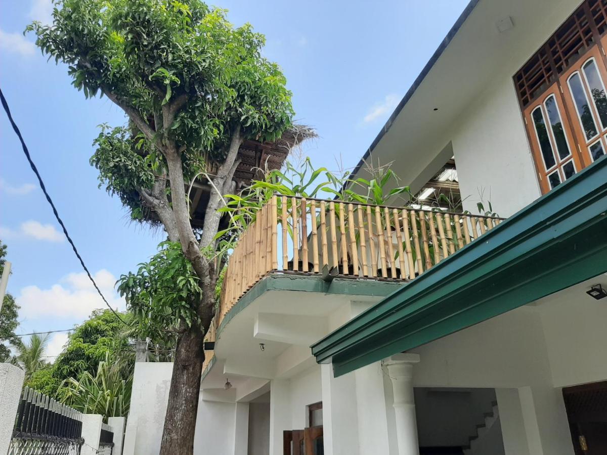 Mangohut Joy Apartamento Anuradhapura Exterior foto
